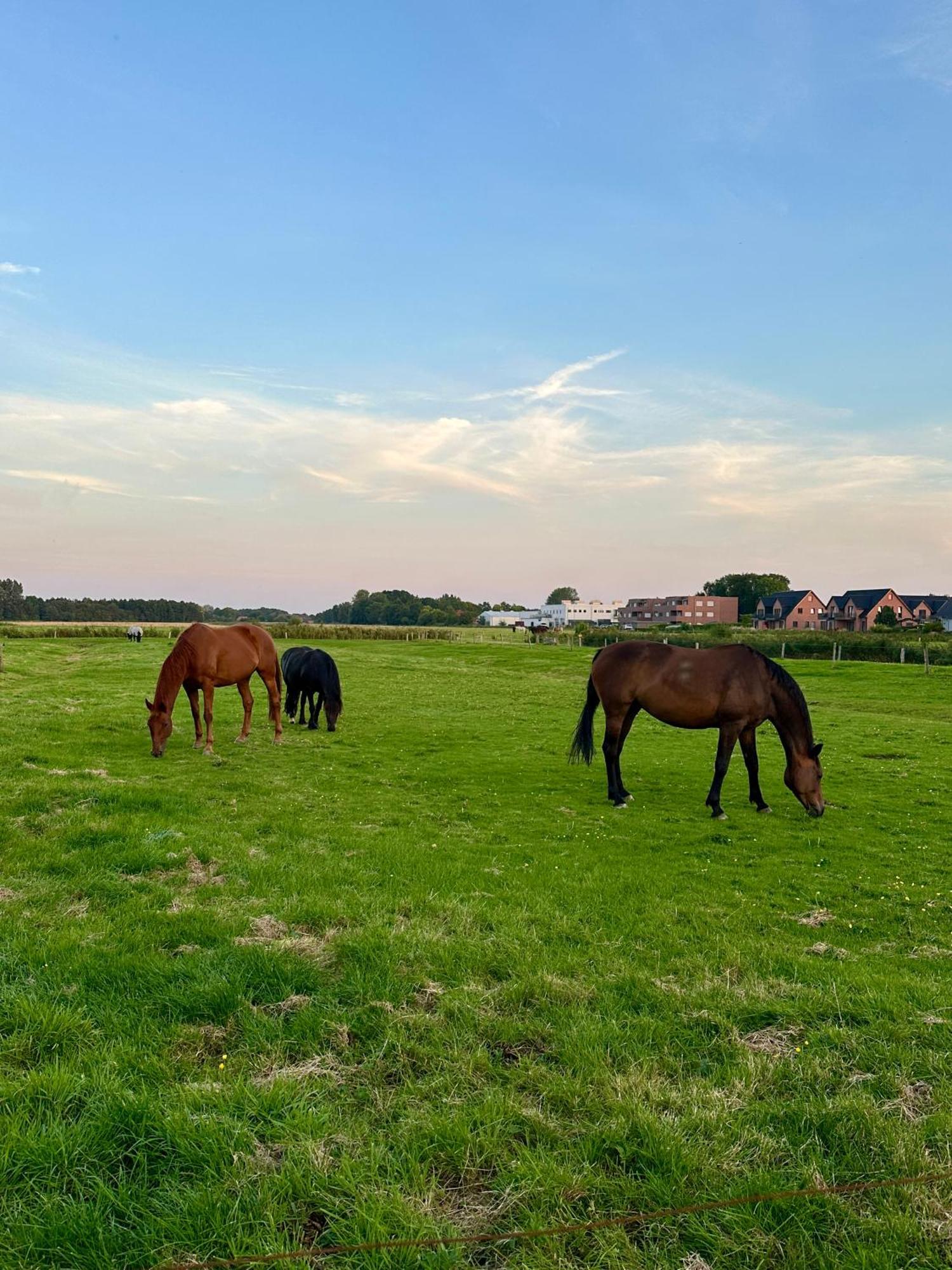 Casa Del Sol - Norddeich (Norden)